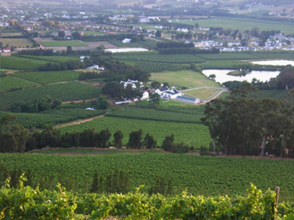 La Terra De Luc Villa Franschhoek Exteriör bild